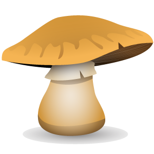 portobella mushroom