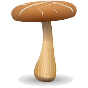 shiitaki mushroom