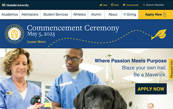 Medaille College website